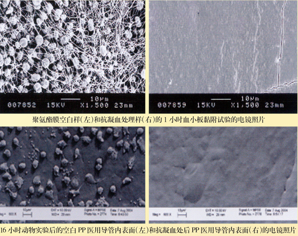医用不凝血高分子材料